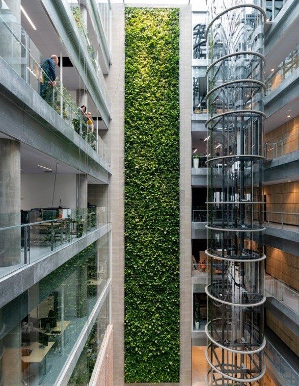 Capacidades de Oxígeno para Edificios